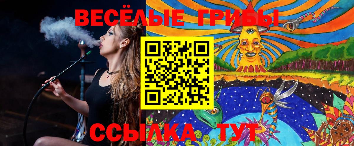 Галлюциногенные грибы мухоморы  Галлюциногенные грибы Cubensis  Вход с VPN  Заинск 